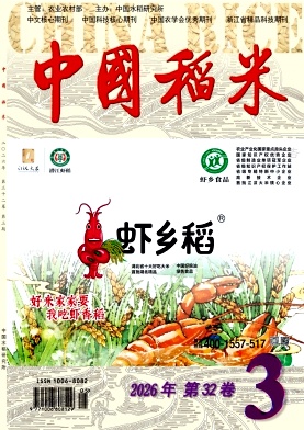 中国稻米封面